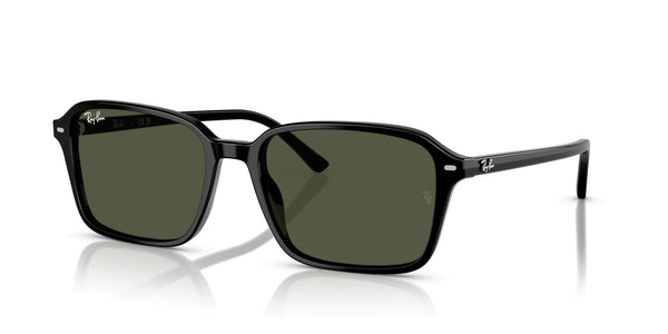 RayBan RB2231 - Raimond