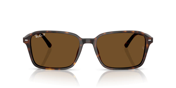 RayBan RB2231 - Raimond