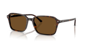 RayBan RB2231 - Raimond
