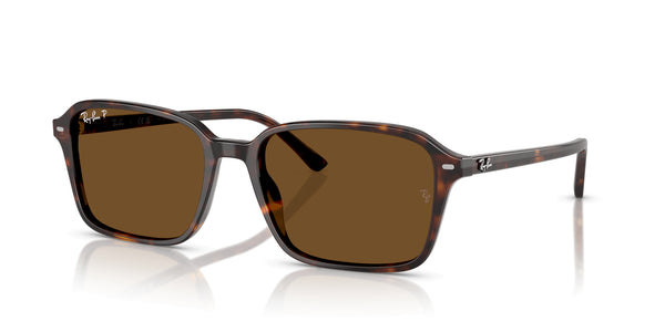 RayBan RB2231 - Raimond